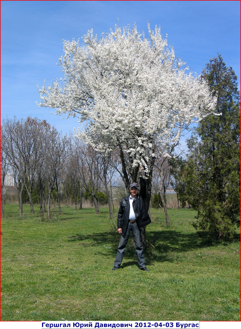 2012-04-03 Гершгал Юрий Давидович. Болгария Бургас .