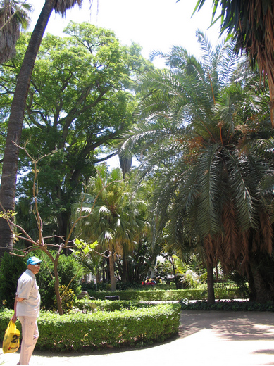 2012-05-26. Гершгал Юрий Давидович. Испания Малага Parque de Malaga